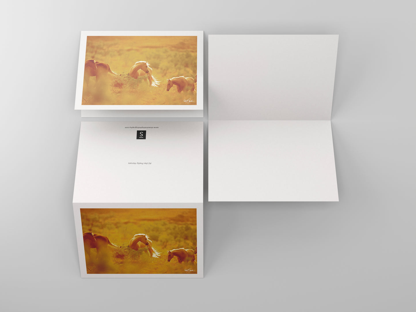 Western-themed notecards featuring the western fine art photography of David Stoecklein.
