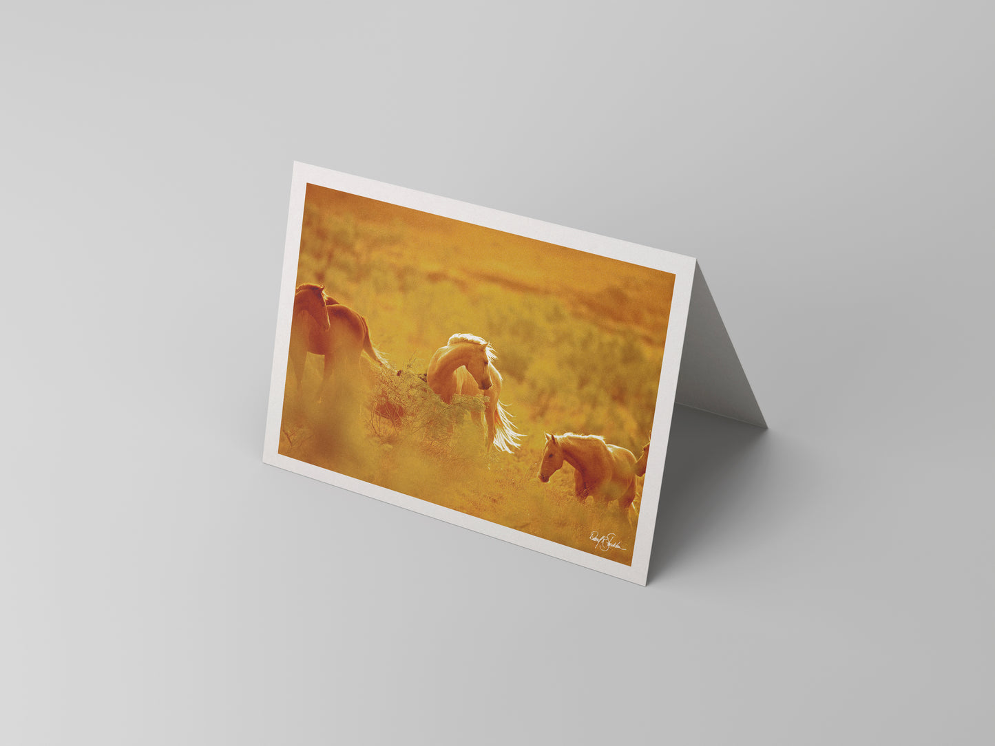 Western notecards featuring the western fine art photography of David Stoecklein.