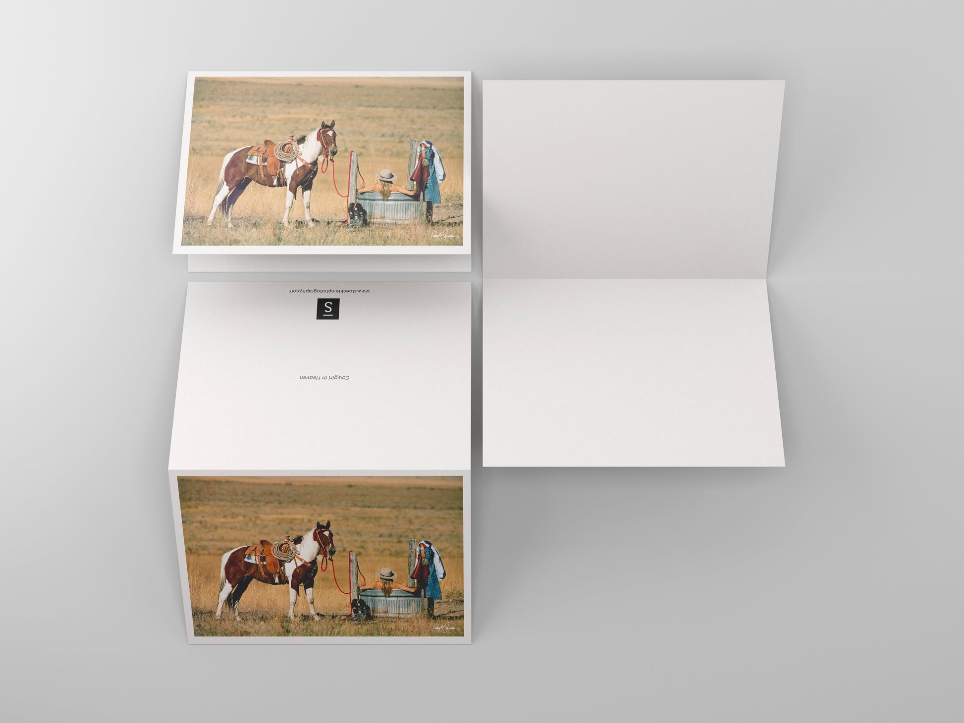 A cowgirl and her horse. Note cards with western fine art imagery by David Stoecklein.