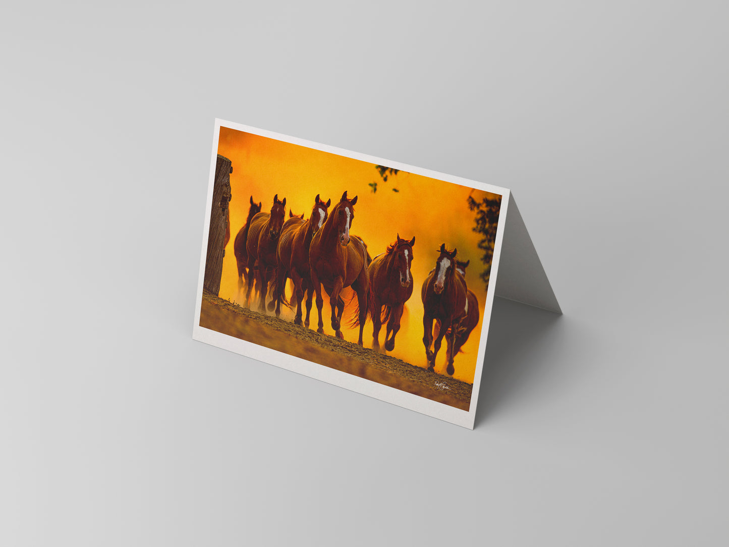 Horses run at Eaton's Ranch in this classic western note card with fine art photography by David Stoecklein.