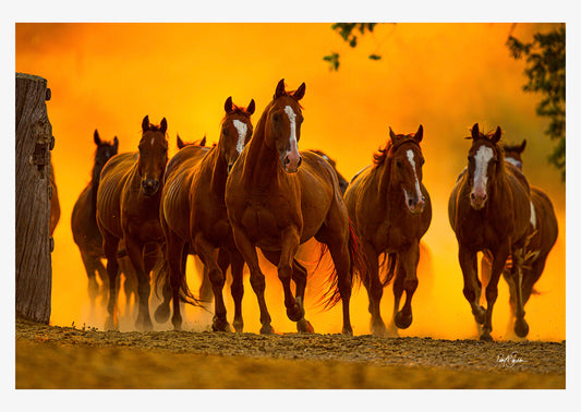 Horses run at Eaton's Ranch in this classic western note card with fine art photography by David Stoecklein.