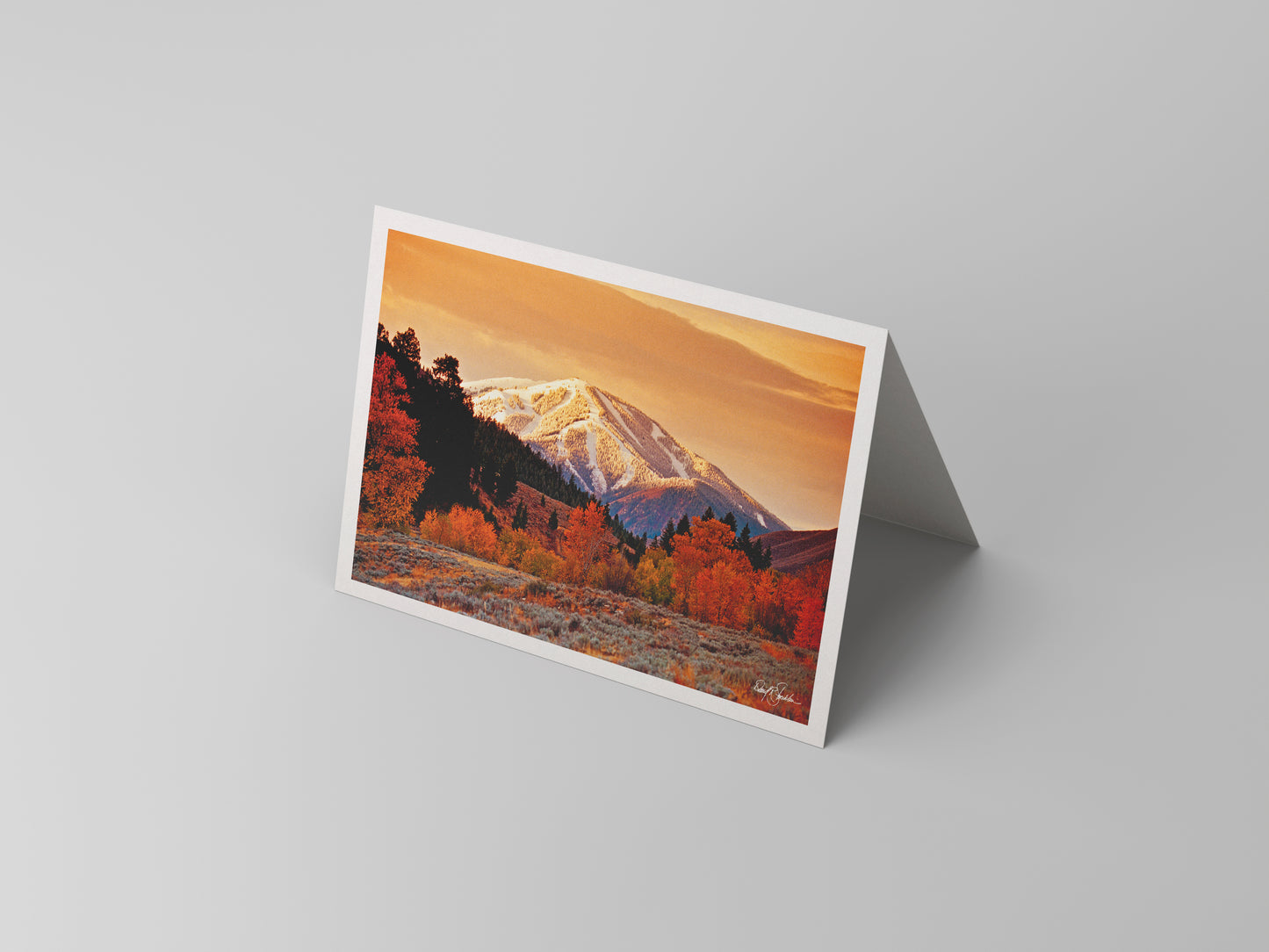 Morning Glory - Western Note Cards