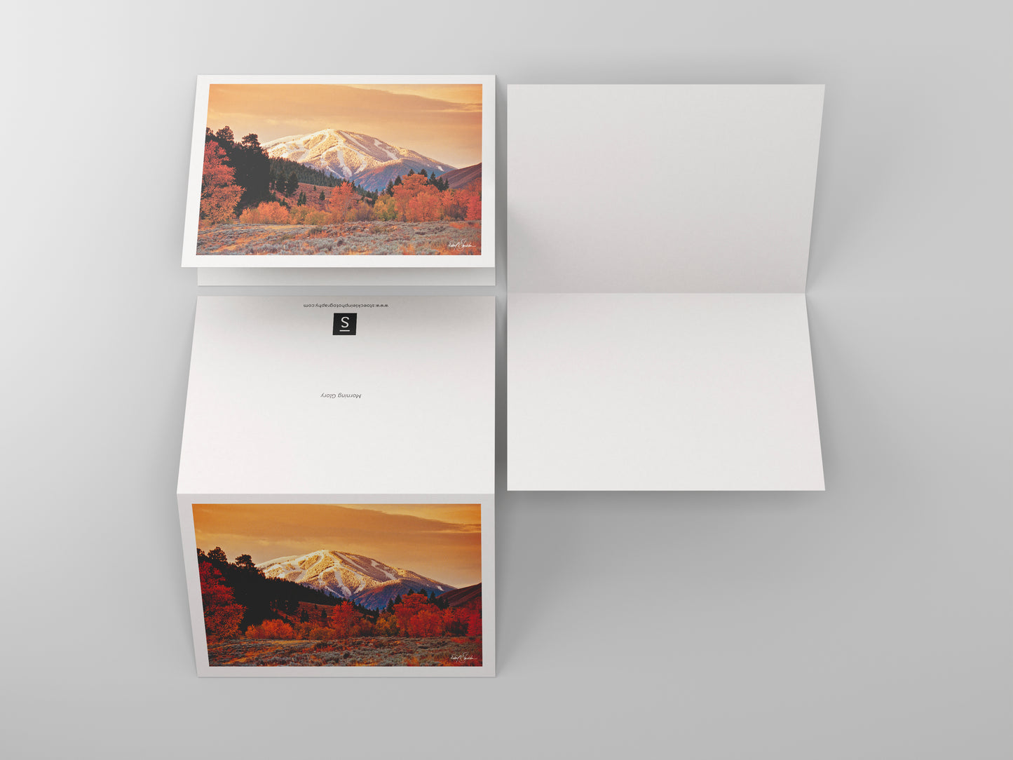 Morning Glory - Western Note Cards