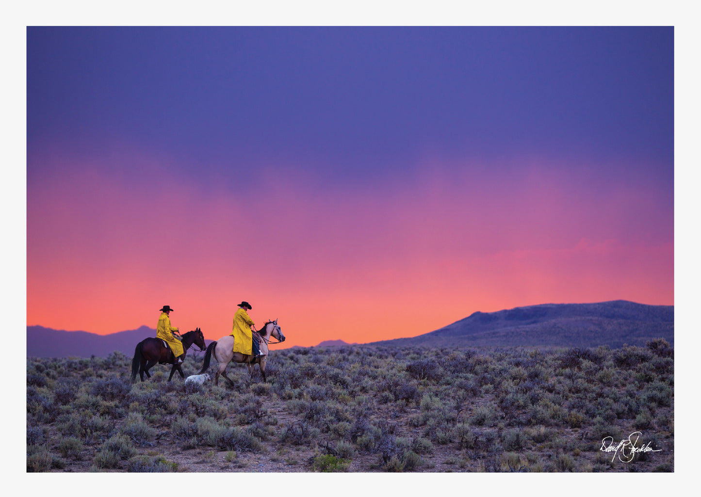 Cowboys Travel the Ridge with a Purple and Pink Sky. Western Fine Art Photography by David Stoecklein. 