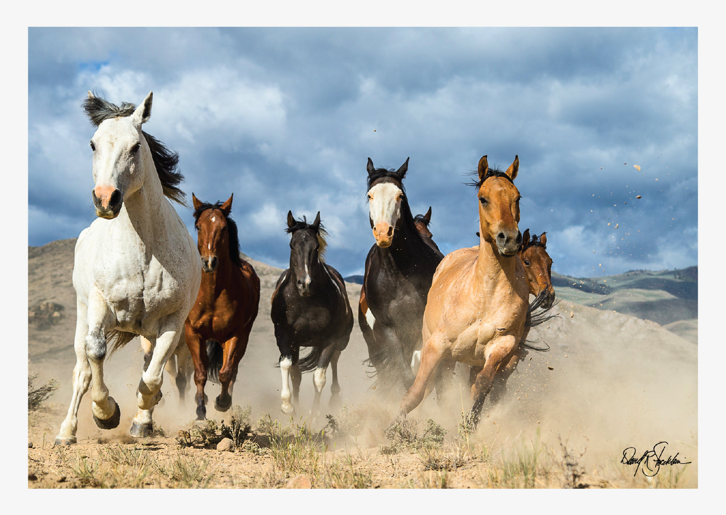 Western note cards with fine art photography by David Stoecklein.