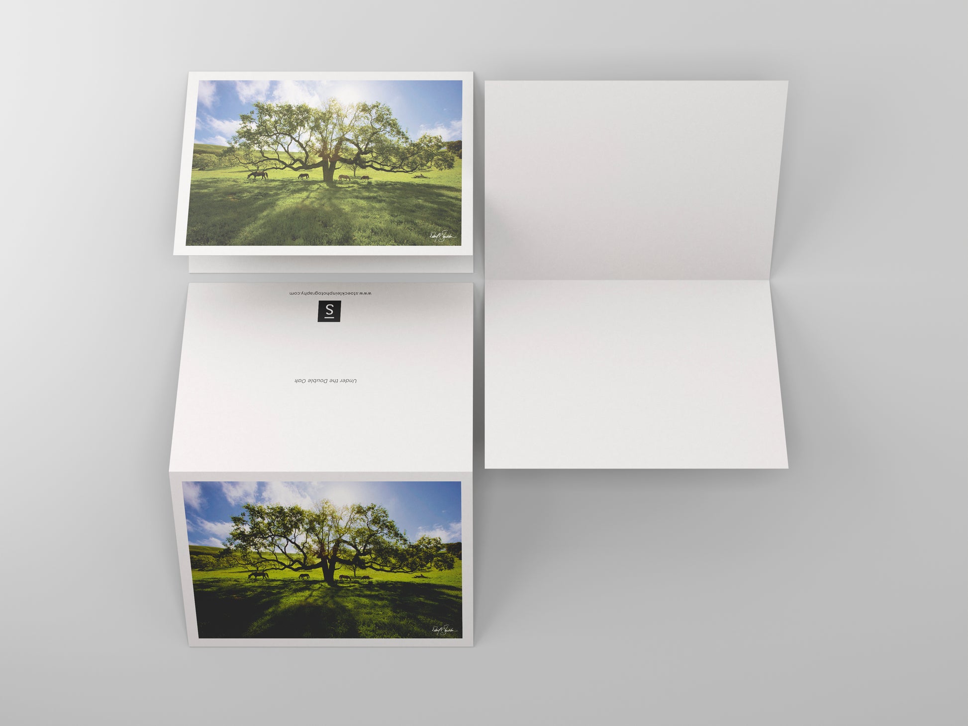 David Stoecklein captures the beauty of nature with the Under the Double Oak note card set. Western-themed fine art photography.