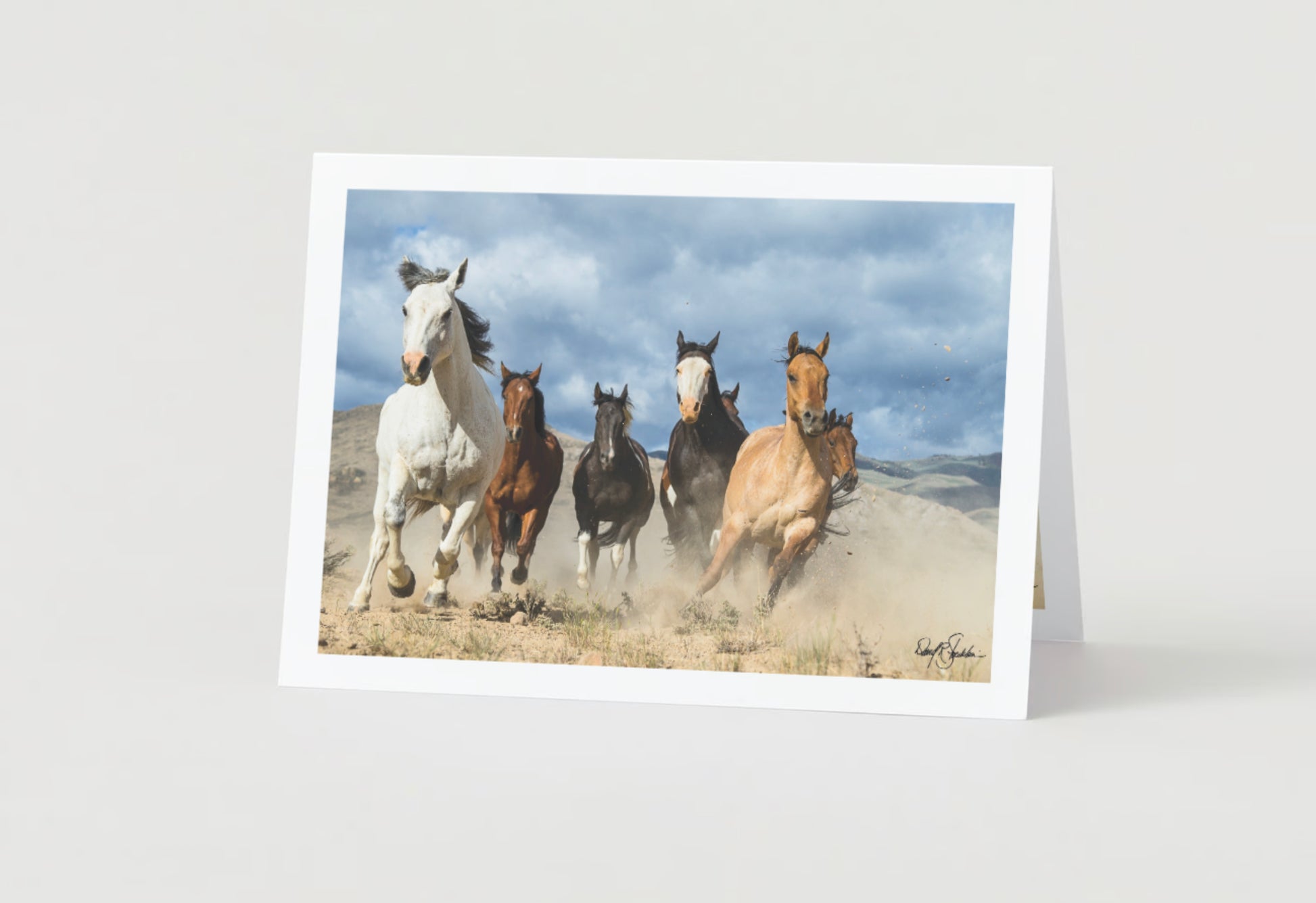 Horses stampede on this western note card featuring the western fine art photography of David Stoecklein.