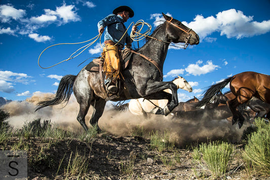 Jumping horse and cowboy in Idaho, western fine art print.