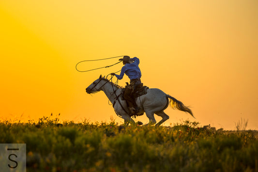 Western fine art photography of cowboy and lasso at sunset