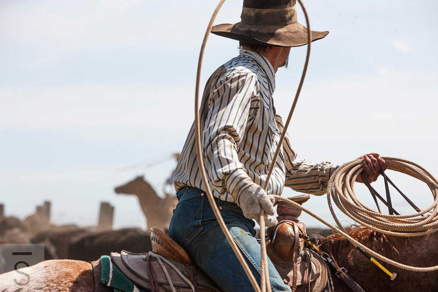 Cowboy with a lariat loop. Western fine art photography by David Stoecklein.