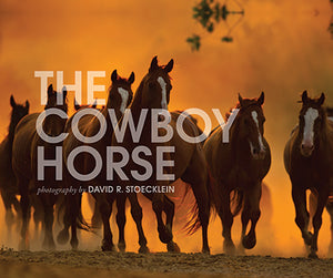 The Cowboy Horse