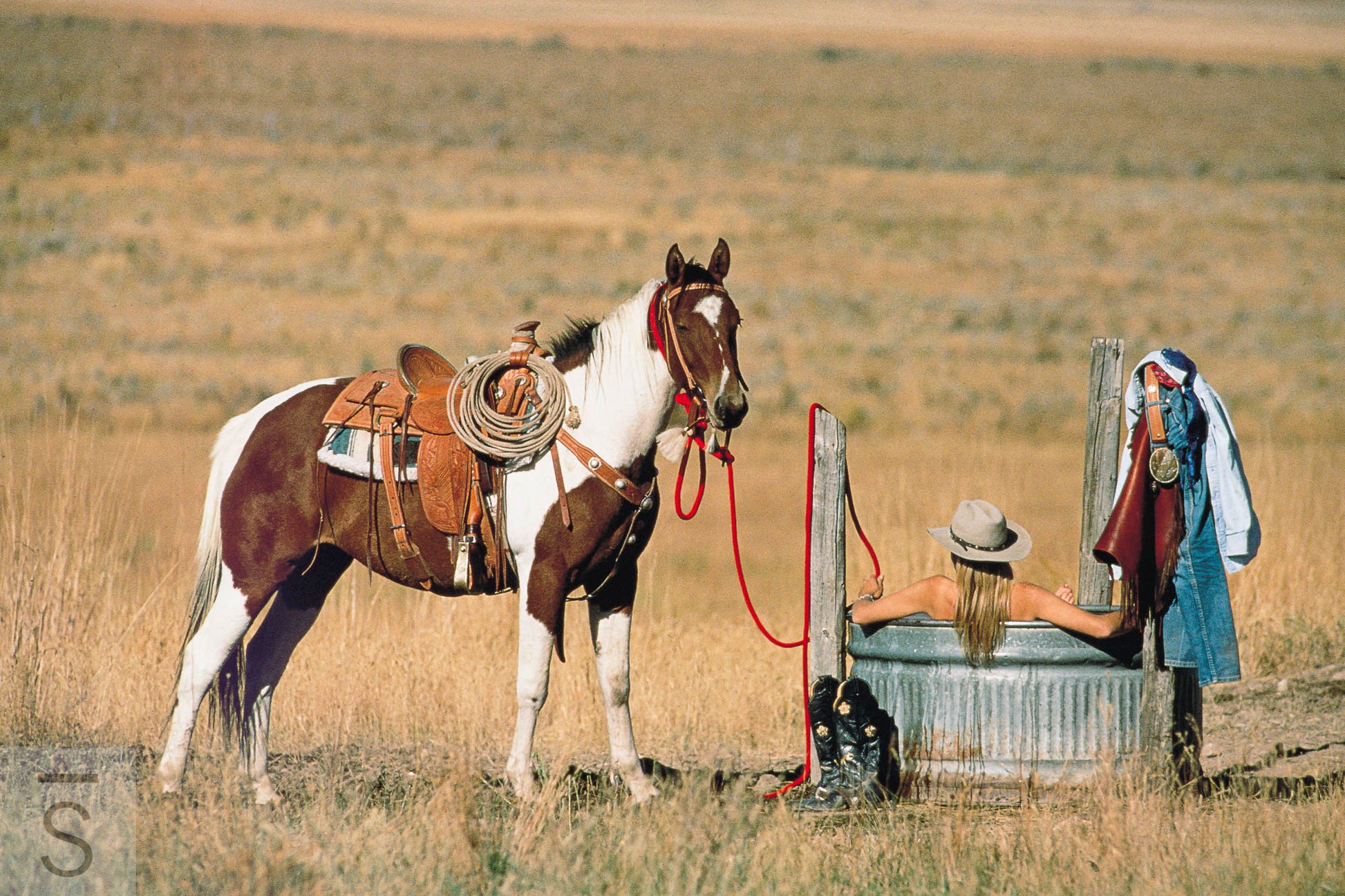 A cowgirl soaks in a tub with her horse at her side. Western fine art by David Stoecklein.