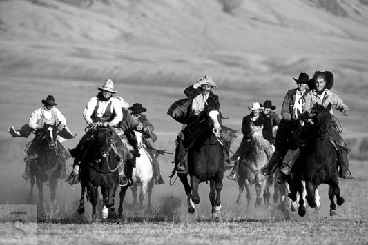 Wild Bunch - Western Fine Art Photography