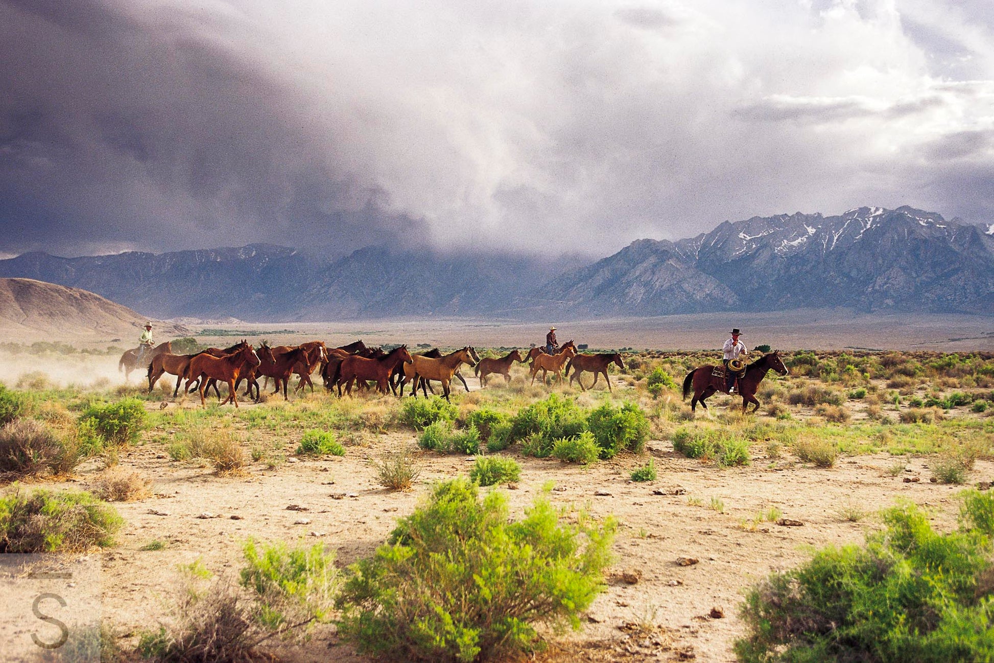 Western Fine Art Photography by David Stoecklein featuring a horse drive at lacey Ranch.