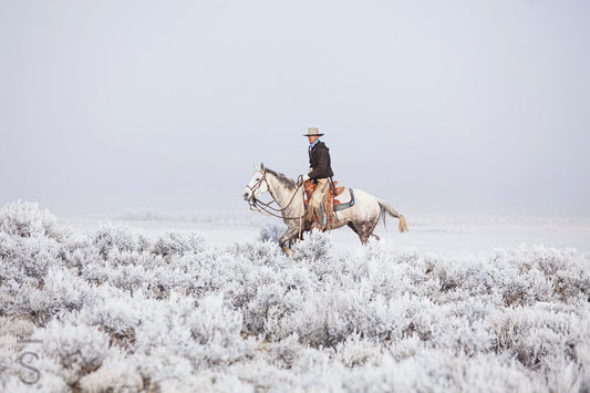 Nevada Frost