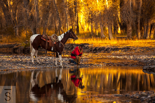 Reflection