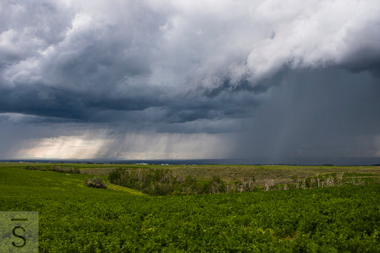 Spring Storm