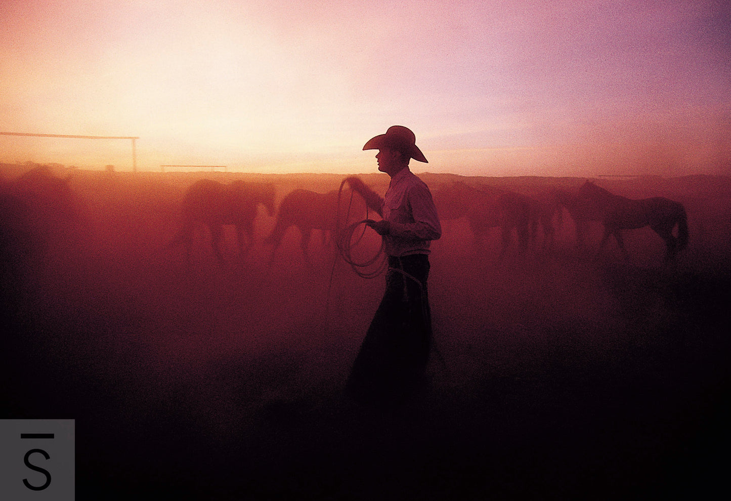 The Wrangler - Western Fine Art Photography