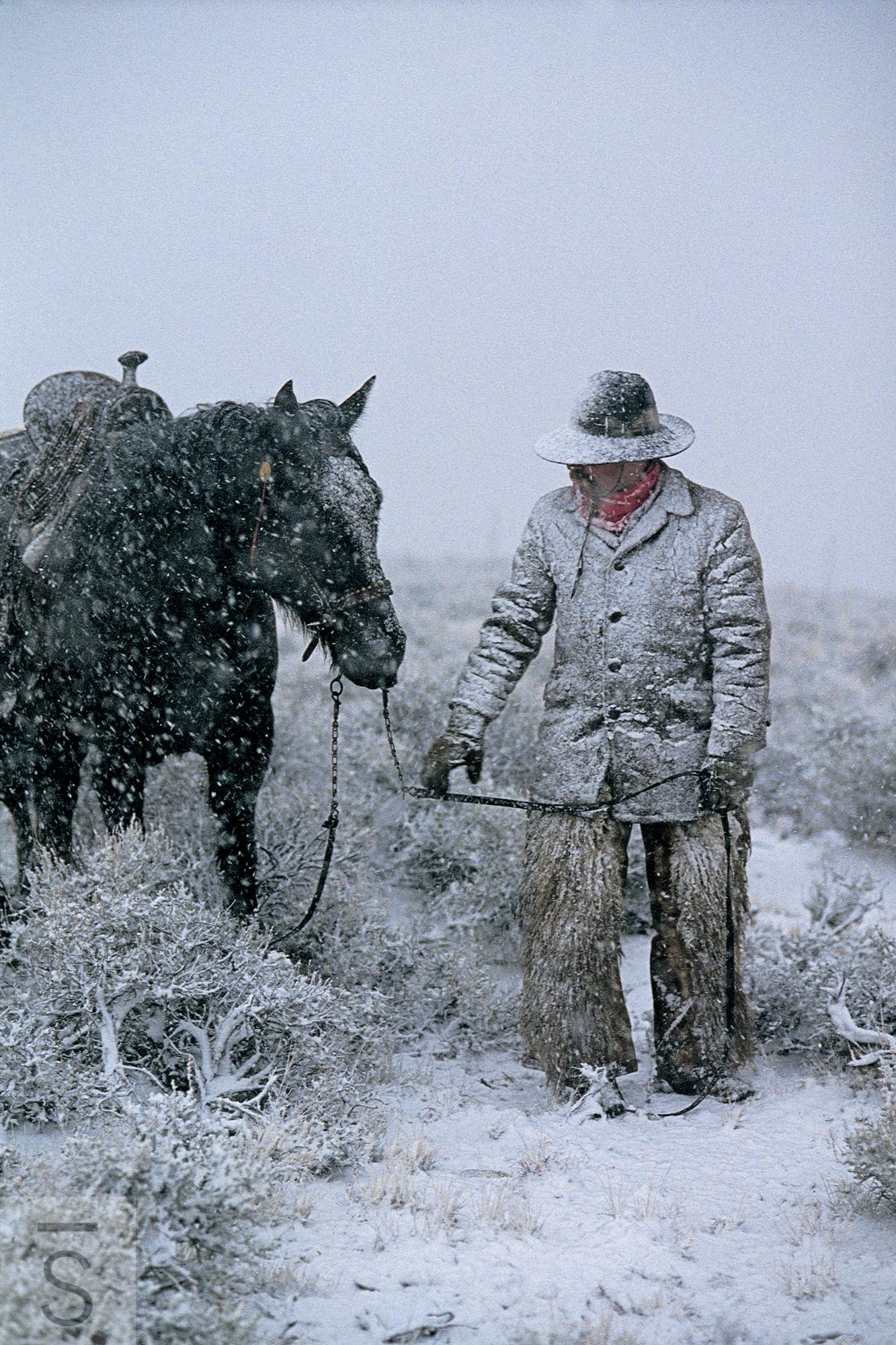 Winter's Chill - Western Fine Art Photography